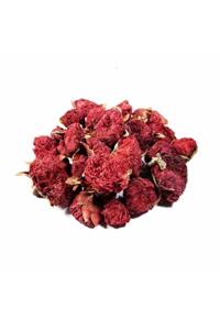 Mimoza Bitki Market Kuru Nar Gülü Nar Çiçeği Goncası 100 Gr Dried Pomegranate Rosebud