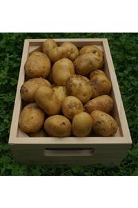 Akyel Gıda Meşhur Afyon Agira Patates (kışlık) 40kg