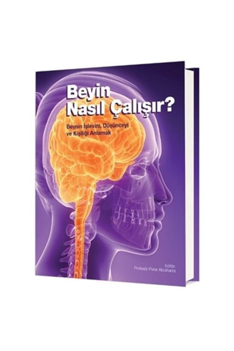 ODTÜ Geliştirme Vakfı Yayıncılık Beyin Nasıl Çalışır