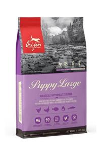 Orijen Puppy Large Breed 11,4 Kg