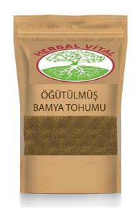 herbal vital 1. Kalite Bamya Tohumu 1000 Gr-1kg Taze Öğütülmüş Organik Ilaçsız Yenilebilir