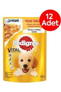 Pedigree Yetişkin Biftek Köpek Pouch 100 Gr X 12 Adet