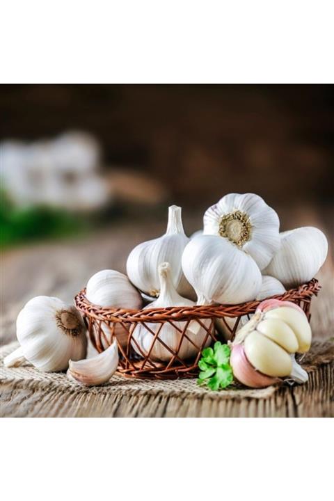 YÖREMDENHEPSİ Antep Araban Baş Sarımsak - 1000 Gr