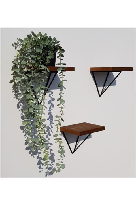 Arzor Home El Yapımı, 3'lü Küçük Raflı, Prizma Destek Aparatlı Dekoratif Duvar Rafı, Çiçeklik (16x14 Cm)