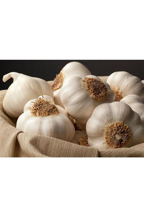 BANUM MUTFAK Taş Köprü Kastamonu Sarımsağı  kg