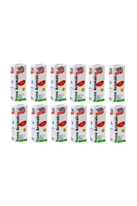 Fresh White Diş Pastası 90 Gr Nane Aromalı 12 Adet