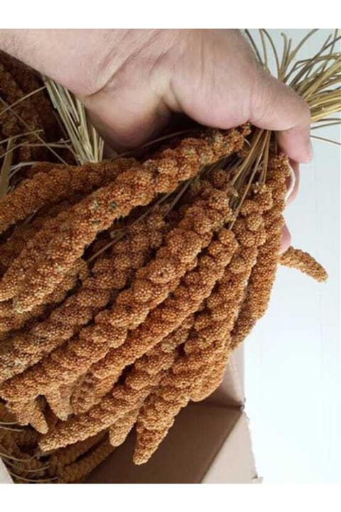 ÖZDEMİR Kızıl Dal Darı 1 Kg