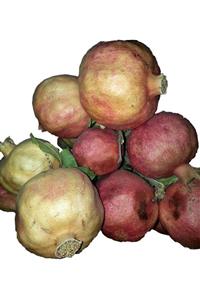 Siirt Pazar Meşhur Siirt Zivzik Narı 1 Kg