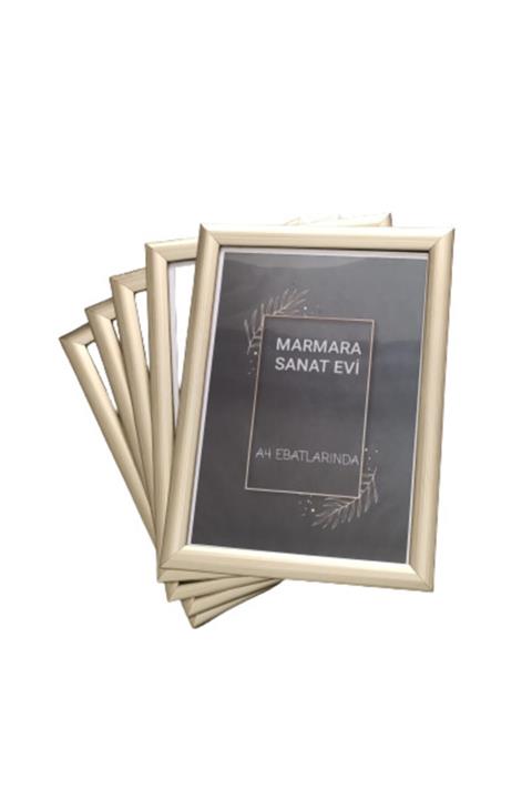 Marmara Sanat Evi 21*30 A4 Ebatlarında 5li Gümüş Rengi Çerçeve Seti Dikey Ve Yatay Kullanıma Uygundur.