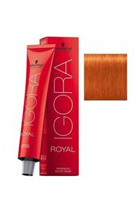 Schwarzkopf Igora Royal 8-77 60ml Saç Boyası Açık Kumral Yoğun Bakır