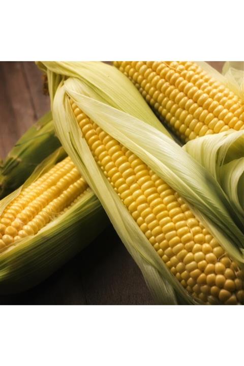 YÖREMDENHEPSİ Mısır Süt - 5 Adet