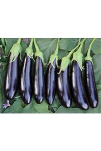TamHasat Patlıcan - Kebaplık 1kg.
