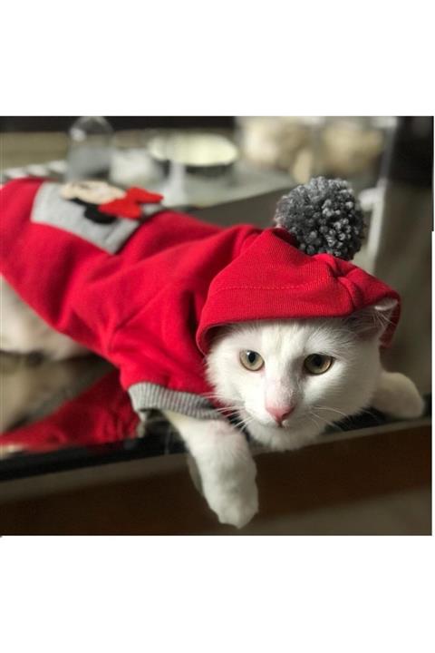 Kemique Athletique Kedi Süeteri Sevimli Fare Kırmızı (large / 3 – 3,5 Kg )