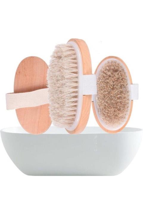 Kingshark At Kılı Fırçası