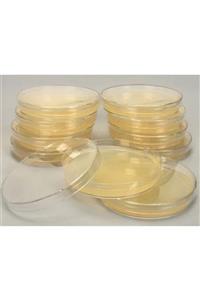 GENEON Lb Agar Besiyeri 10 Plate