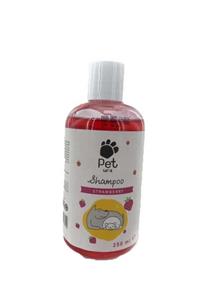 Pet Love Eco Kedi & Köpek Şampuanı Strawberry-çilekli- 250 Ml