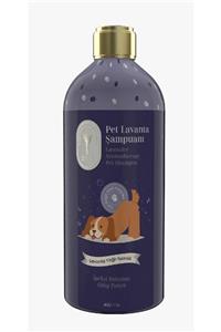 GALLİPOLİ Lavender Lavanta Yağlı Köpek Şampuanı 400 Ml