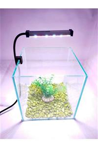 WOLFMAR Usb Akvaryum Led Aydınlatma Karışık Renkli - Fanus Led Aydınlatma - Nano Akvaryum Led Aydınlatma 10