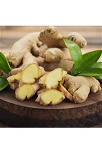 Hatay Yöresel Ürünler Taze Zencefil(500 Gr)