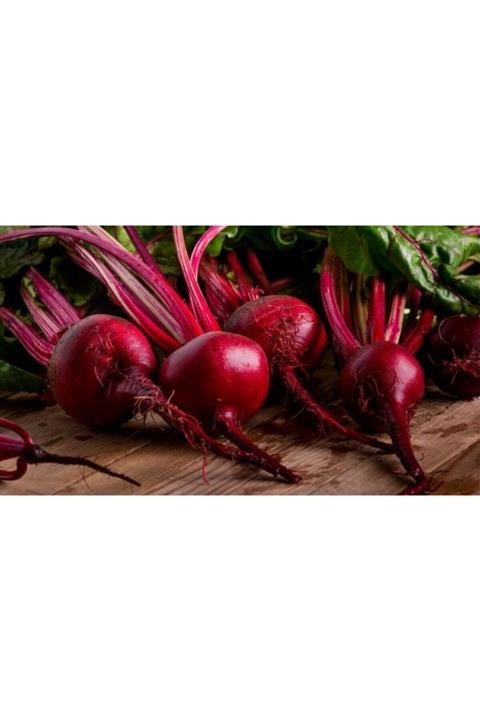 Tohum Dünyam 500 Adet Atalık Pancar Tohumu