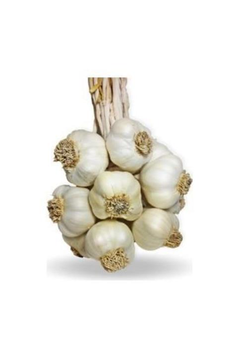 KAVELE Meşhur Maraş Yerli Kuru Orta Boy Sarımsak 1 kg