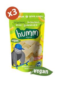 Humm Organic Organik Glutensiz Vegan Muzlu Mini Küpler 30g X 3 Adet