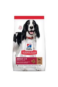 Hills Science Plan Hills Medium Lamb Orta Irk Kuzulu Yetişkin Köpek Maması 2,5 Kg