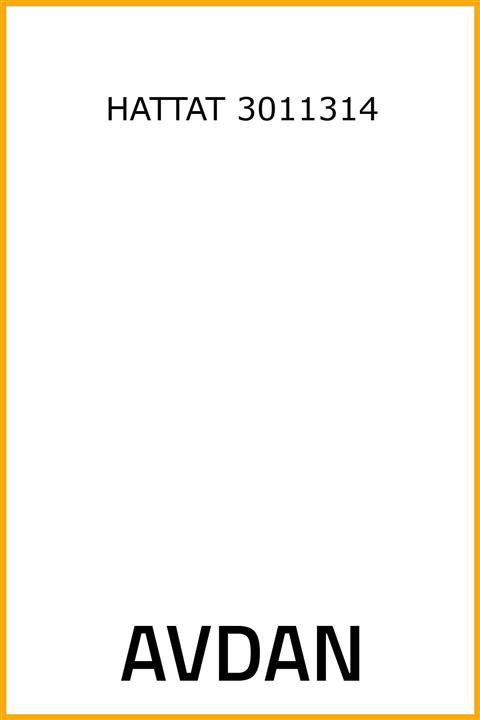 AAVDAN Direksiyon Kutusu Hidrolik Megane