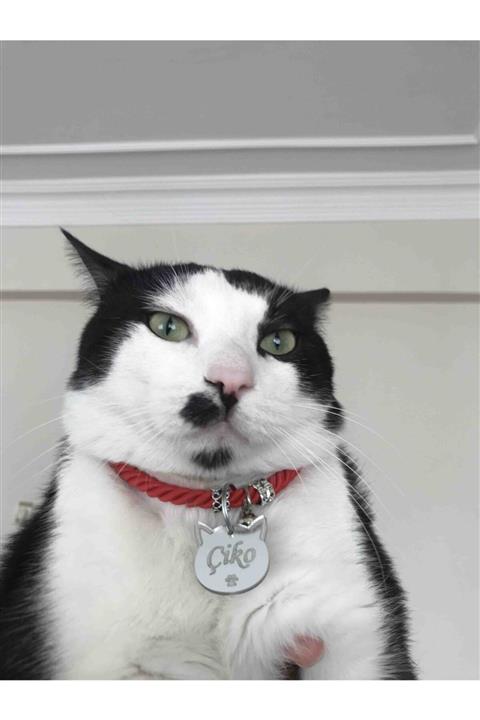 Aker Hediyelik En Şık Kedi Tasması Künyesi