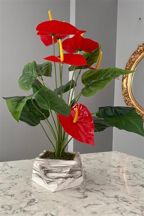 thebouqet Mermer Görünümlü Beton Saksıda Yapay Islak Antoryum