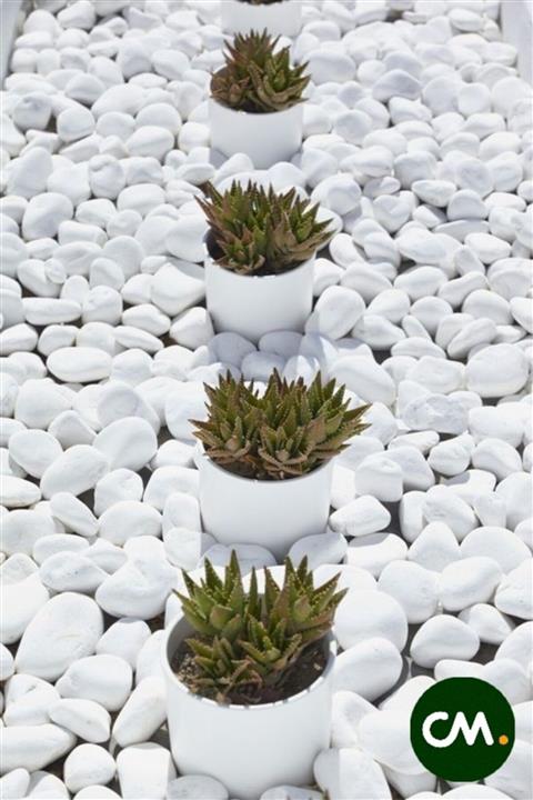 HB BOTANIC Cmdoğal 10 Kg Dolomit Taş 2 - 4 Cm Dekoratif Bahçe Saksı Akvaryum Teraryum Taşı Beyaz.