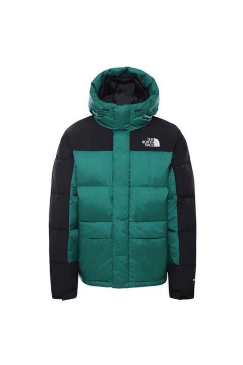 THE NORTH FACE Erkek Yeşil Parka Nf0a4qyxnl11