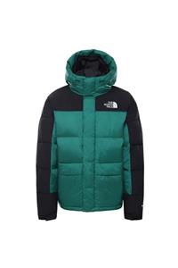 THE NORTH FACE Erkek Yeşil Parka Nf0a4qyxnl11