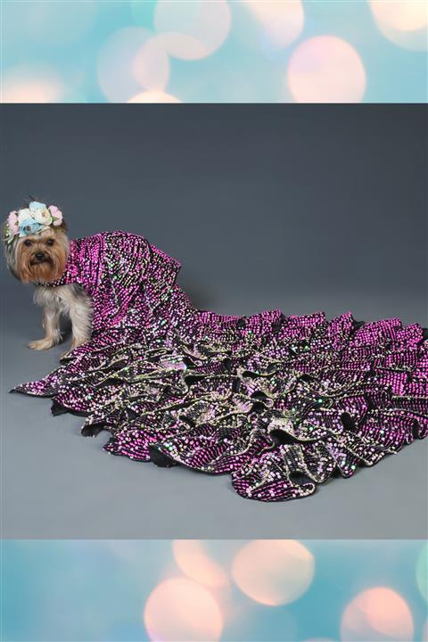 PuppyDoggy Lüks Köpek Elbise Kostüm Abiye