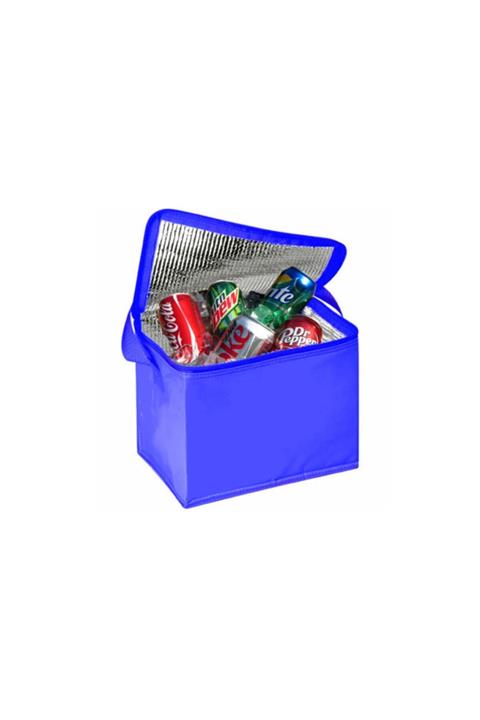 Ankaflex Soğuk Tutucu Termos Kamp Çantası 21 Litre