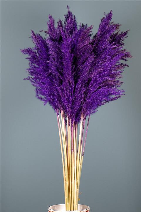 Goya Home Şoklanmış Mor Renkli Pampas Demeti 10'lu