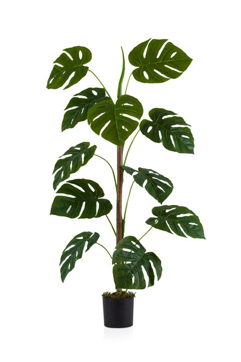 Çiçekmisin Siyah Saksıda 11 Dal Yapay Monstera Ağacı 105 cm