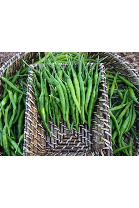 antalyasebzemeyve Cin Biber 500 gr