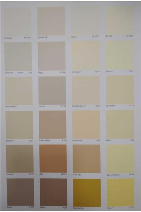 Bianca Stella Su Bazlı Saf Akrilik Boya 1 Lt. - Fildişi - 1020