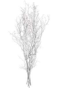 Euro Flora Kuru Bitki Gürgen Dalı Kçk. 100 cm Beyaz