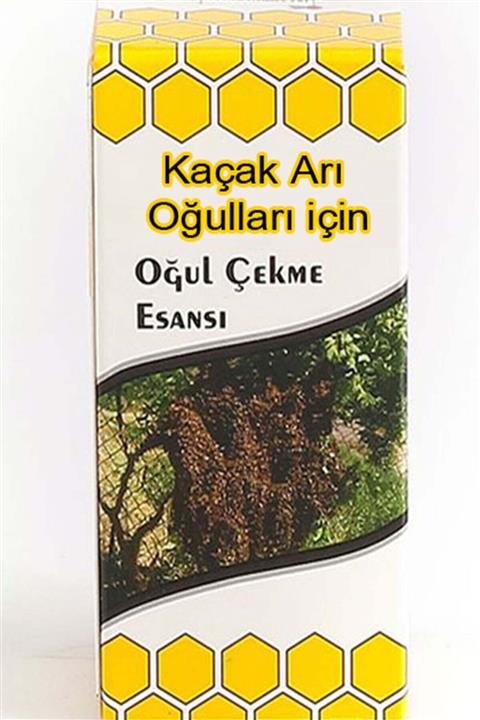 Avrasya Arıcılık Oğul Çekme Esansı