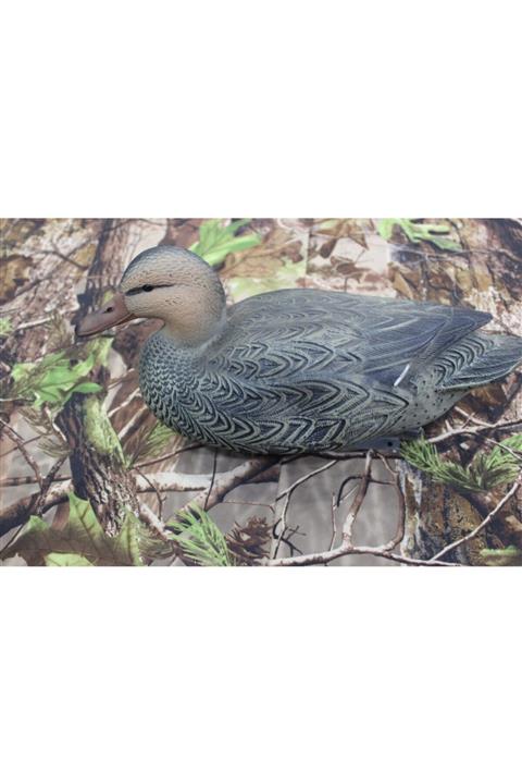 Arm Yeşilbaş Dişisi Ördek Mühresi