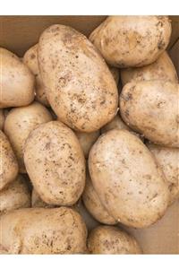 ESKOM Patetes 5 Kg