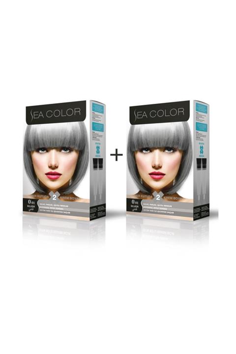 Sea Color 0.01 Füme Gri  Boya 2'li Set