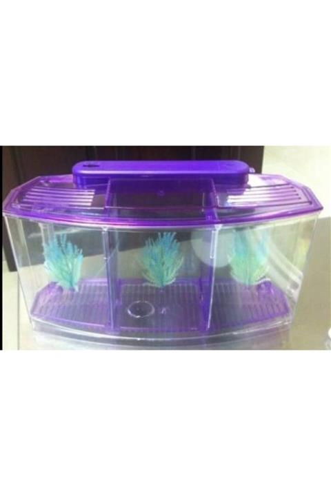 Penny Black Venys Bbt4s Beta Kabı Led Lambalı Üçlü