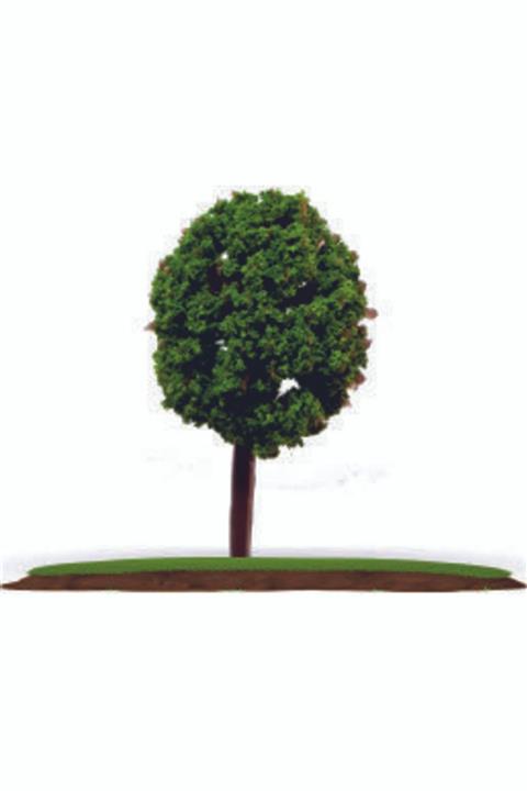 VOX 10'lu Maket Ağaç 1:300/500 Ölçek 2 Cm (vt6018-2)