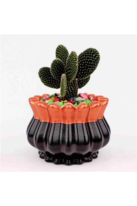hadjidesign , Hediye, Beton Saksı, Kaktüs & Sukulent Saksısı, Saksı, Şekerlik, Dresuar, Elle Boyama