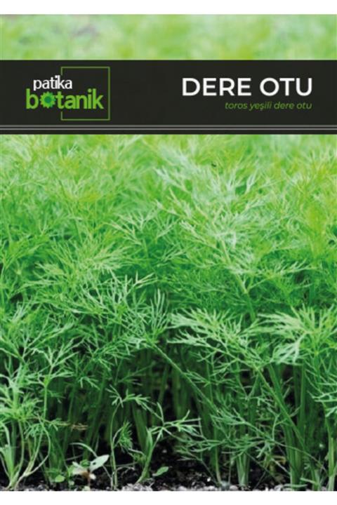 GüçlüTedarik Patika Botanik Toros Yeşili Dere Otu Tohumu 3500 Adet Tohum 5 Gr