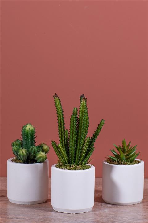 YAPAY ÇİÇEKÇİNİZ Beton Saksıda Kaktüs Seti