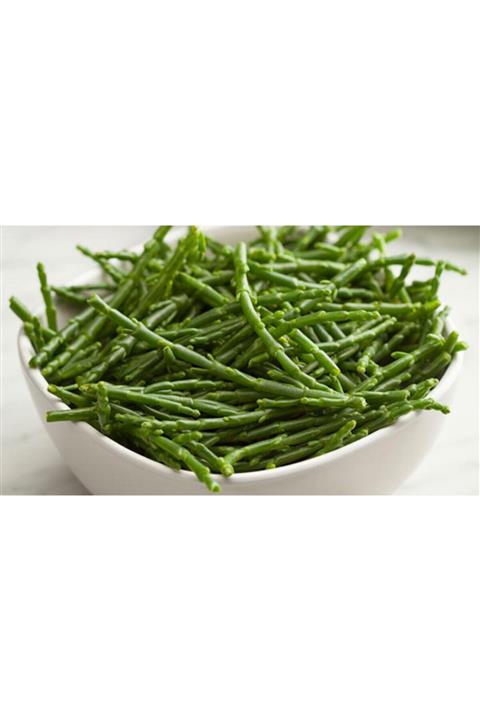 antalyasebzemeyve Deniz Böğrülcesi Adet